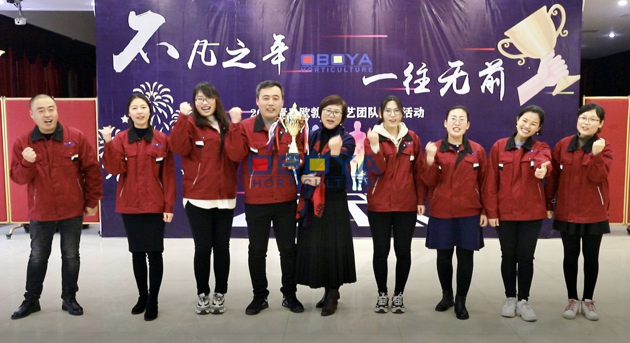 Team Activity on Jan.2021(图1)