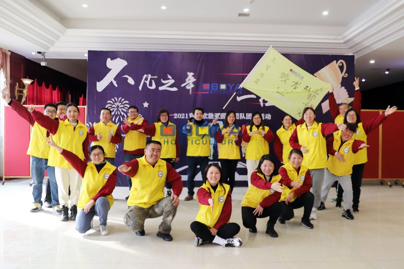 Team Activity on Jan.2021(图2)