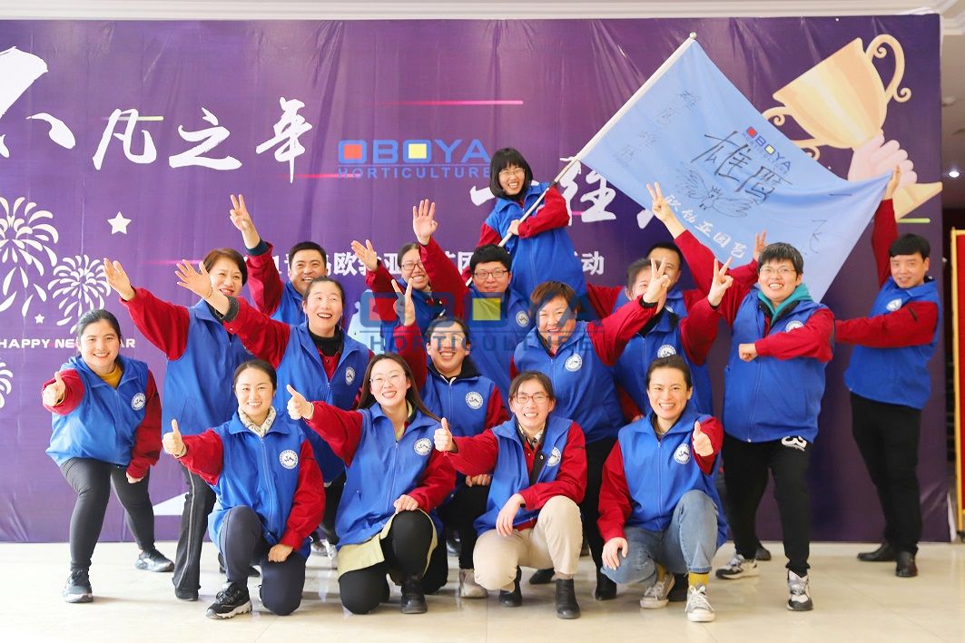 Team Activity on Jan.2021(图3)
