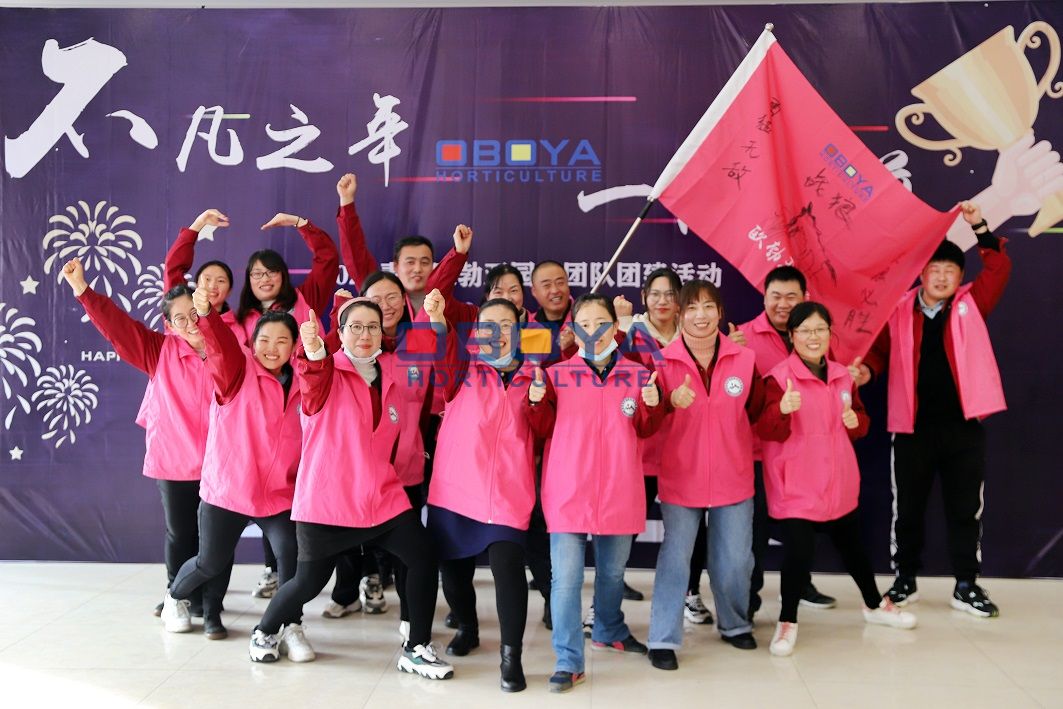 Team Activity on Jan.2021(图4)